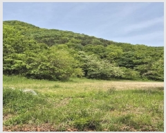  2025Ÿ��2017 ���� ���� ���굿 52-19       ����(�Ӿ�)���