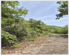  2025Ÿ��2017 ���� ���� ���굿 52-19       ����(�Ӿ�)���