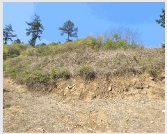  2025Ÿ2109  ֽ Ȳ  245-12      (Ӿ)