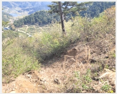  2025Ÿ2109  ֽ Ȳ  245-12      (Ӿ)