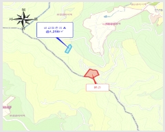  2025Ÿ2109  ֽ Ȳ  245-12      (Ӿ)