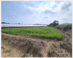  2025Ÿ��3676  ����