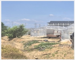  2025Ÿ��3676  ����