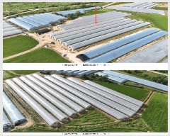  2025Ÿ��3676  ����