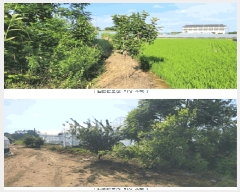  2025Ÿ��3676  ����