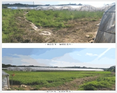  2025Ÿ��3676  ����