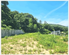  2025Ÿ��3751 ���� �强�� Ȳ��� �ư 495-4      ����(��1)���