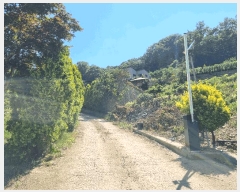  2025Ÿ��3751 ���� �强�� Ȳ��� �ư 495-4      ����(��1)���