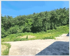  2025Ÿ��3751 ���� �强�� Ȳ��� �ư 495-4      ����(��1)���