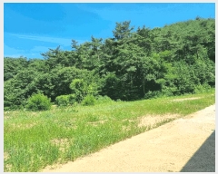  2025Ÿ��3751 ���� �强�� Ȳ��� �ư 495-4      ����(��1)���