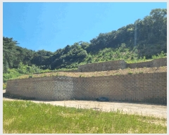  2025Ÿ��3751 ���� �强�� Ȳ��� �ư 495-4      ����(��1)���