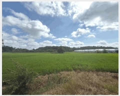  2025Ÿ��4464  ����