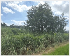  2025Ÿ��4464  ����