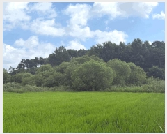  2025Ÿ��4464  ����