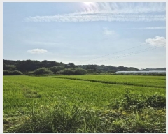  2025Ÿ��4464  ����