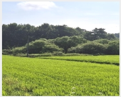  2025Ÿ��4464  ����