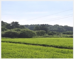  2025Ÿ��4464  ����