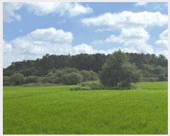  2025Ÿ��4464  ����