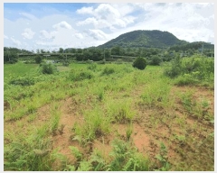  2025Ÿ��5160  �����