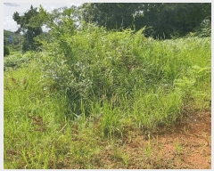  2025Ÿ��5160  �����