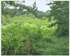  2025Ÿ��5160  �����