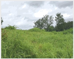  2025Ÿ��5160  �����