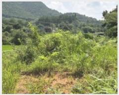  2025Ÿ��5160  �����