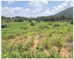  2025Ÿ��5160  �����