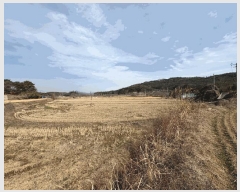  2025Ÿ31909  걸  651-1       ()