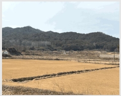  2025Ÿ31909  걸  651-1       ()