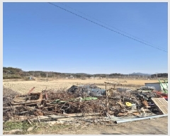  2025Ÿ31909  걸  651-1       ()