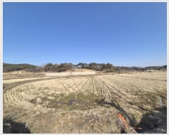  2025Ÿ31909  걸  651-1       ()