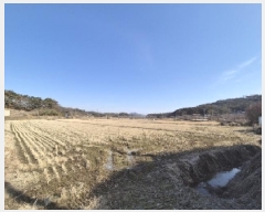  2025Ÿ31909  걸  651-1       ()