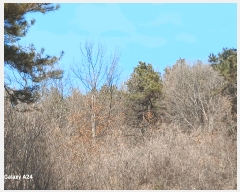  2025Ÿ31976   ̵ 532       ()