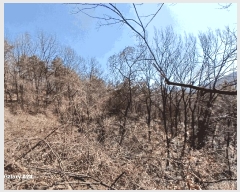  2025Ÿ31976   ̵ 532       ()