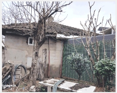  2025Ÿ31976   ̵ 532       ()