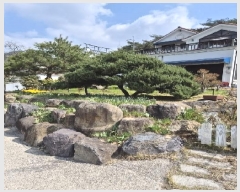  2025Ÿ32286  ȭ   199      ð