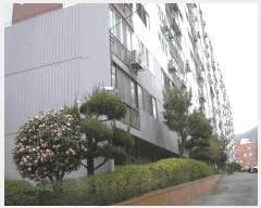  2025Ÿ32377  ϱ ξϵ 947-1 105 1109ȣ     Ʈ