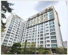  2025Ÿ32398   ġ 1330 303 106 131301ȣ    Ʈ