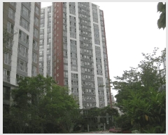  2025Ÿ32408   踲 1845 λũ 309 121203ȣ    Ʈ