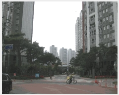  2025Ÿ32408   踲 1845 λũ 309 121203ȣ    Ʈ