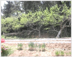  2025Ÿ��32564 ���� ���ֽ� ������ ���⸮ ��25-4      ����(�Ӿ�)���