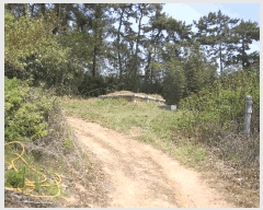  2025Ÿ��32564 ���� ���ֽ� ������ ���⸮ ��25-4      ����(�Ӿ�)���