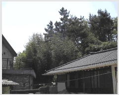  2025Ÿ��32564 ���� ���ֽ� ������ ���⸮ ��25-4      ����(�Ӿ�)���