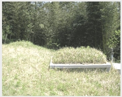  2025Ÿ��32564 ���� ���ֽ� ������ ���⸮ ��25-4      ����(�Ӿ�)���