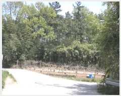  2025Ÿ��32564 ���� ���ֽ� ������ ���⸮ ��25-4      ����(�Ӿ�)���