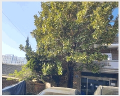  2025Ÿ32578    и 139      ڽü,,ȣ,