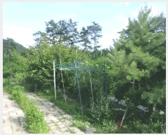  2025Ÿ32787   ε 221-2       (Ӿ)