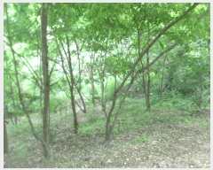  2025Ÿ32787   ε 221-2       (Ӿ)