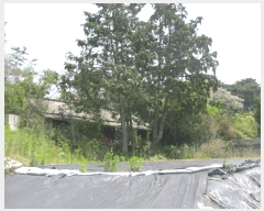  2025Ÿ32787   ε 221-2       (Ӿ)